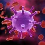 Mosquito-Borne Virus Outbreak Virus surrounded by red blood cells.