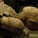 Trump Orders Review of Content in Smithsonian Museums Close-up of an Egyptian mummy displayed in a museum