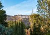 Actor SLAMS Tump Live—Crowd Goes Nuts Hollywood sign on hill surrounded by trees and buildings.