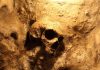 3,000-Year DISCOVERY Shatters History – Who Knew! A skull embedded in a rocky surface, illuminated with warm lighting