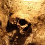 3,000-Year DISCOVERY Shatters History – Who Knew! A skull embedded in a rocky surface, illuminated with warm lighting