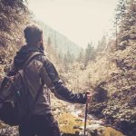 A hiker standing in a forest, looking at a scenic view of mountains and trees