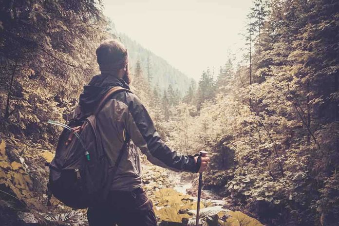 A hiker standing in a forest, looking at a scenic view of mountains and trees