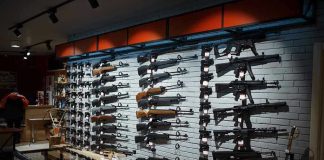 Wall-mounted guns displayed in a store.