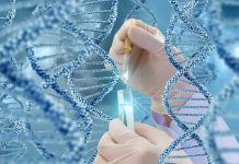 Mosquito DNA Rewrites Human-Biting Origins Hands with pipette and test tube surrounded by DNA strands.