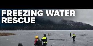 'Right place, right time': Dive team rescues man who fell