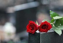 Protection Order FAIL: Two Dead Two red roses on a gravestone.