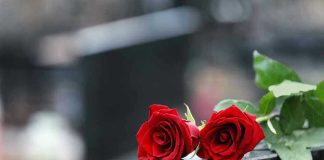 Protection Order FAIL: Two Dead Two red roses on a gravestone.