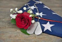 Dog tags, red rose, and folded American flag.