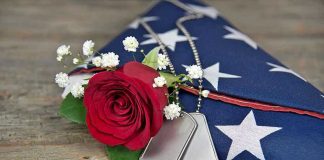 Dog tags, red rose, and folded American flag.