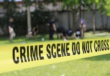 BRUTAL Double Hit Attempt—Cartel’s Desperate Scheme Yellow crime scene tape blocking grassy area.