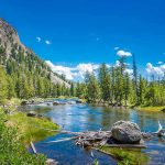 Mountain river landscape with trees and clear blue sky.