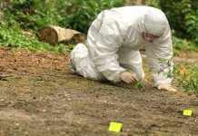 Forensic investigator in a protective suit collecting evidence from the ground