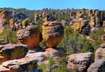Unique rock formations surrounded by greenery under a clear blue sky