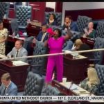 Dem Rep STORMS HOUSE AISLE with Pink Bullhorn Screaming! Dem Rep STORMS HOUSE AISLE with Pink Bullhorn Screaming