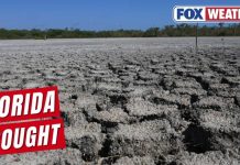State SUFFERING Hidden Catastrophe — Nobody Saw This