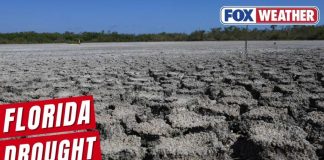 State SUFFERING Hidden Catastrophe — Nobody Saw This