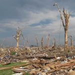 A landscape showing destruction from a natural disaster with fallen trees and debris scattered across the ground