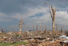 A landscape showing destruction from a natural disaster with fallen trees and debris scattered across the ground