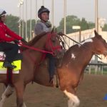 Horse FLIPS—1,300 Pounds Nearly Crushes Jockey Horse FLIPS—1,300 Pounds Nearly Crushes Jockey