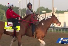 Horse FLIPS—1,300 Pounds Nearly Crushes Jockey