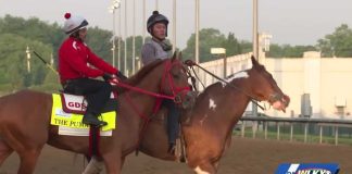 Horse FLIPS—1,300 Pounds Nearly Crushes Jockey