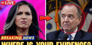 Senators Makes Disgusting Jab at Tulsi Amid Her Husband's Cancer Battle