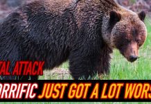 Hiker MIRACULOSULY Survives Grizzly Bear Charge! Hiker MIRACULOSULY Survives Grizzly Bear Charge!