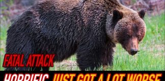 Hiker MIRACULOSULY Survives Grizzly Bear Charge! Hiker MIRACULOSULY Survives Grizzly Bear Charge!
