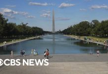 Lincoln Memorial Vandals Face SERIOUS Charges! Timeline of Lincoln Memorial Reflecting Pool issues amid Trump makeover