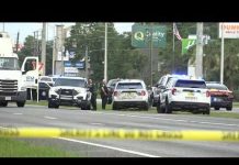 Illegal Migrant WHACKED By Semi Truck On The Run Man killed after encounter with ICE in St. Augustine