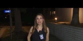 Reporter Goes VIRAL After Cockroach Infestation! Cockroach lands on reporter during live report