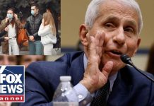 Fauci’s Lawyer BOOTED Out of Senate Hearing This confirms Dr. Fauci's manipulation of Americans, expert says
