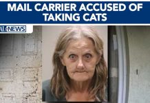 Florida mail carrier accused of taking cats near her routes