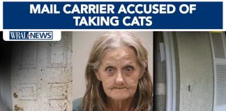 Hoarder TRAPPED Over 100 Animal in Feces Ridden Home Florida mail carrier accused of taking cats near her routes