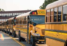 Field Trip Turns Deadly – Teacher and Student DEAD Row of yellow school buses parked outside a brick school