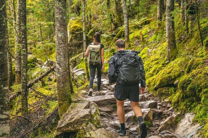 Hikers on a rocky forest trail with backpacks
