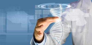 Scientist touching a digital DNA helix