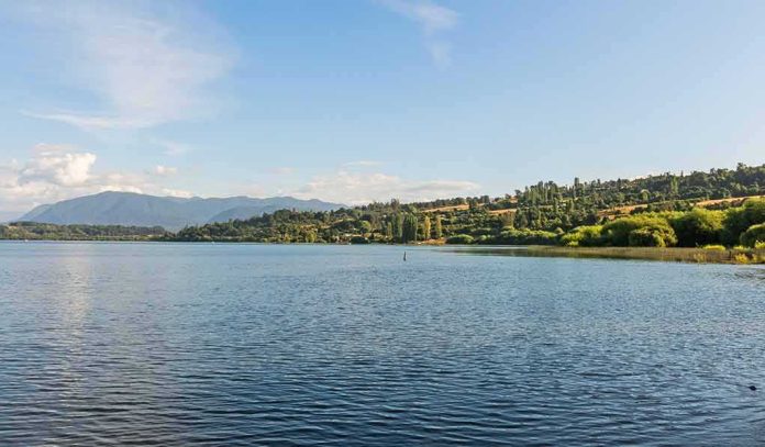 Calm lake with forested hills under a clear blue sky