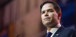 Nazi Meme Blasts Rubio’s TOP Aide man in suit speaking at podium