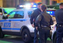 police officers standing near patrol vehicles