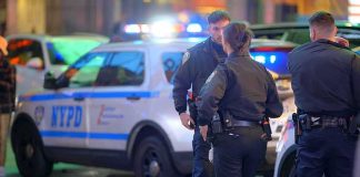 police officers standing near patrol vehicles