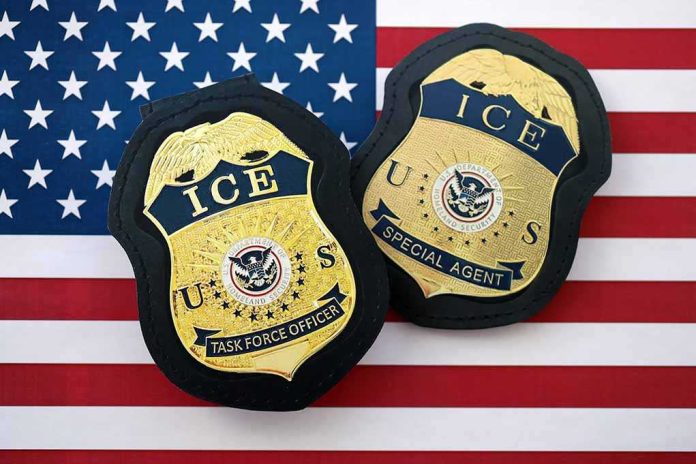 shutterstock_2825559391 ICE badges on an American flag background