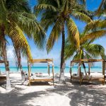 Palm trees shading beach cabanas by turquoise sea