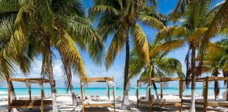 Palm trees shading beach cabanas by turquoise sea