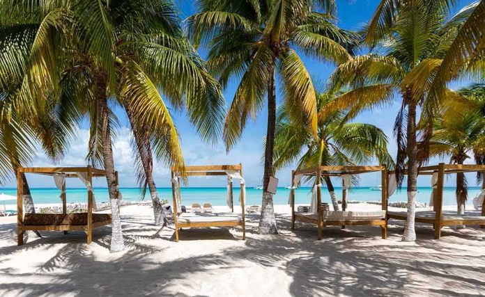 Palm trees shading beach cabanas by turquoise sea