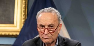 Schumer Tucks Tail and Runs When Faced With Tax Question Charles Ellis Schumer wearing red glasses and a dark blazer